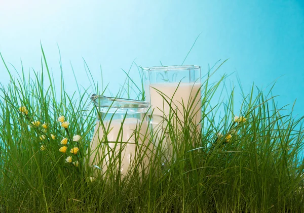 Concept de lait naturel. La carafe au lait frais dans l'herbe luxuriante — Photo