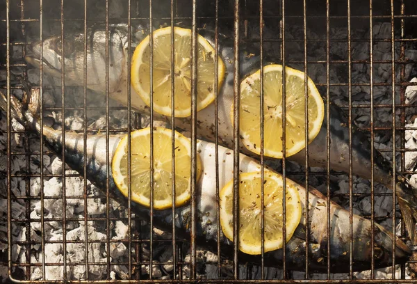 Pachnące makrela z grilla z cytryną i przyprawy — Zdjęcie stockowe