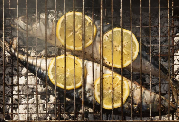 Caballa fragante a la parrilla con limón y especias — Foto de Stock