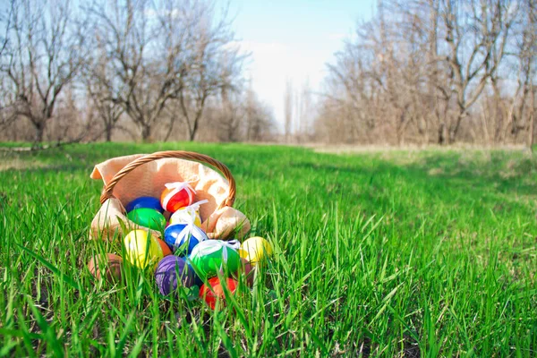 Easter basket met geschilderde eieren buiten in de tuin — Stockfoto