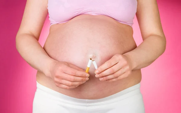 Понятие ответственности за плод. Беременная женщина, разбивающая сигарету на фоне живота — стоковое фото