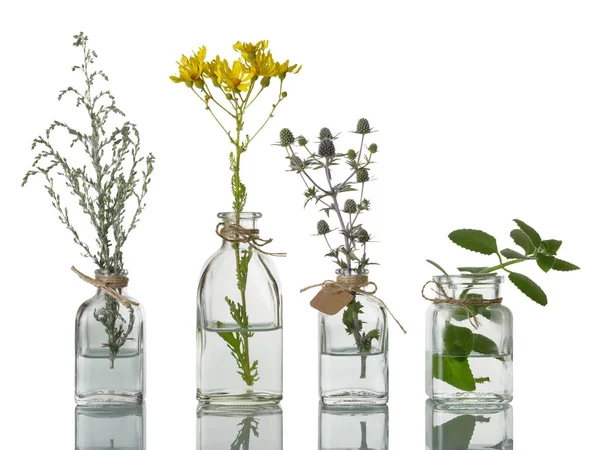 Plantas Medicinales Frascos Farmacéuticos Vintage Primer Plano Aislado Sobre Fondo — Foto de Stock