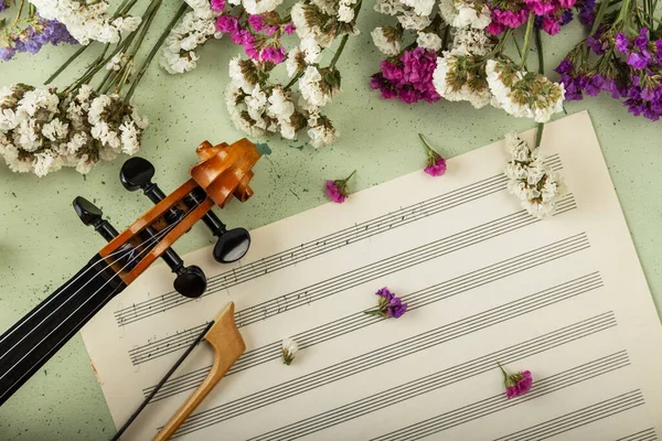 Umiejętności Muzyczne Pisanie Kawałków Nuty Muzyczne Skrzypce Łuk Świeże Suszone — Zdjęcie stockowe
