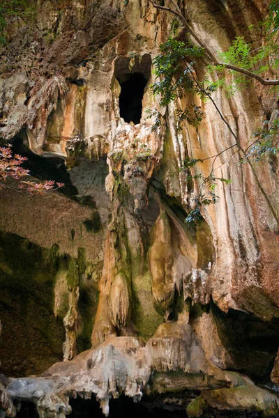 The cave is high in a sheer cliff on the island.