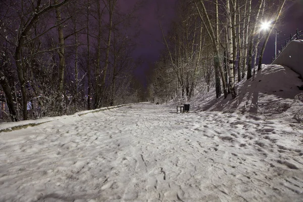 Sendero Cubierto Nieve Parque Nocturno Invierno —  Fotos de Stock