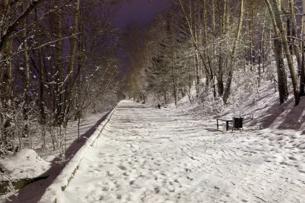 冬の夜の公園で雪に覆われた歩道 — ストック写真