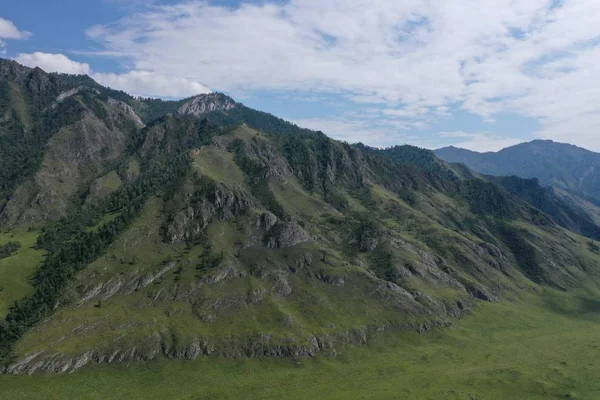 Bäume Und Gras Berghang Berg Altai Sommermonat August — Stockfoto