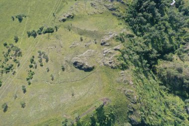 ağaçlar ve çim, havadan görünümü, Altay dağ, yaz ay Ağustos