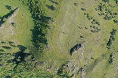 ağaçlar ve çim, havadan görünümü, Altay dağ, yaz ay Ağustos