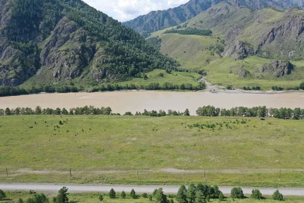 Katun nehir kıyısı, Kemal ilçesi, Altay Cumhuriyeti, Ağustos yaz ayı