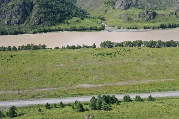 Katun nehir kıyısı, Kemal ilçesi, Altay Cumhuriyeti, Ağustos yaz ayı