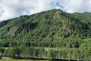 Altay Cumhuriyeti dağları, Kemal ilçesi, Yelanda köyü yakınlarında, yaz ayı Ağustos, akşam