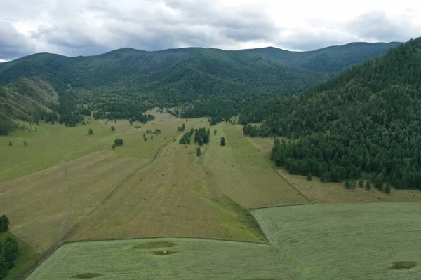 Dağlarda Toukta nehri, havadan görünüm, Ongudai ilçesi, Altay Cumhuriyeti, Rusya, Ağustos yaz ayı
