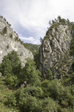 Çekiş bölgesinde dağın kireçtaşı eğimi, Kemal ilçesi, Altay Cumhuriyeti, Ağustos ayı