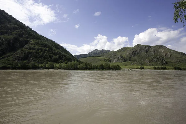 Ribera Del Río Katun República Altai Mes Agosto — Foto de Stock