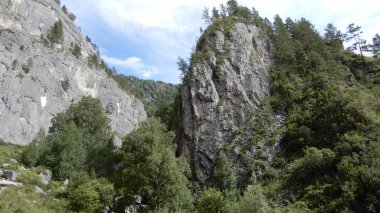 Yazın dağların manzarası