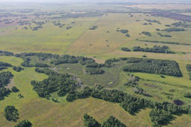 Rusya 'nın Novosibirsk bölgesindeki orman ve tarlaların manzarası.