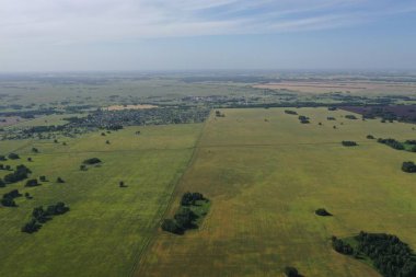Rusya 'nın Novosibirsk bölgesindeki orman ve tarlaların manzarası.