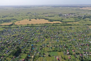 Rusya 'nın Novosibirsk bölgesindeki orman ve tarlaların manzarası.