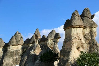 Kapadokya Türkiye 'de taş şekilli komik mantarlar.