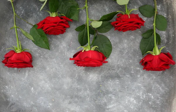 Vista Vicino Delle Rose Rosse Naturali Sfondo Grigio Esempio Modello — Foto Stock