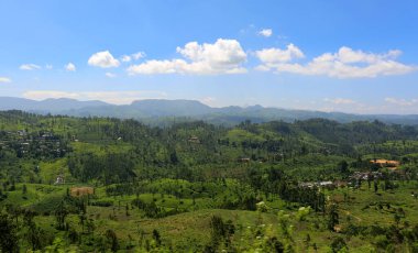 Sri Lanka 'daki güzel panoramik manzara. Sri Lanka konseptini ziyaret et.