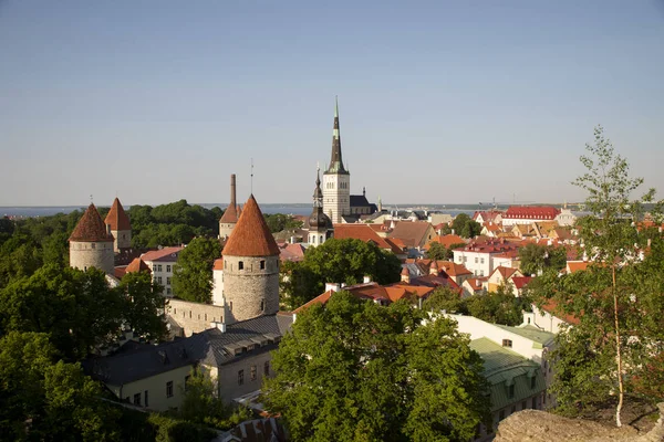 Nyár Észtországi Tallinn Városában — Stock Fotó