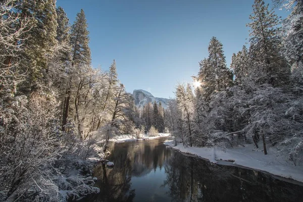 Belle vue d'un lac entouré d'épicéas remplis de neige sous un ciel clair et ensoleillé — Photo