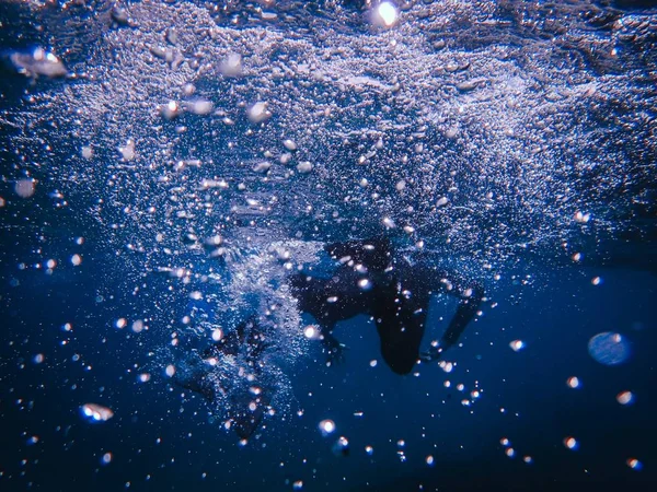 Underwater shot of a person from behind swimming in the water