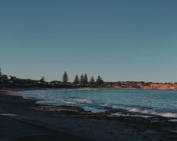 Beautiful wide shot of a sea surrounded by trees — Stock Photo, Image