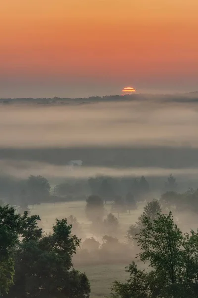 Beautiful Shot Amazing Sunset Countryside Foggy Forest Breathtaking Red Sky — Stock Photo, Image