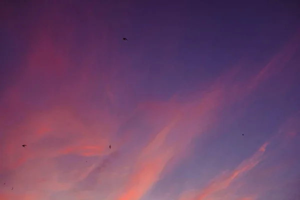Prachtig landschap van de paarse hemel op het platteland — Stockfoto