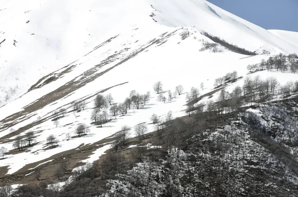 Gyönyörű táj a sziklás és havas hegyek a vidéken — Stock Fotó