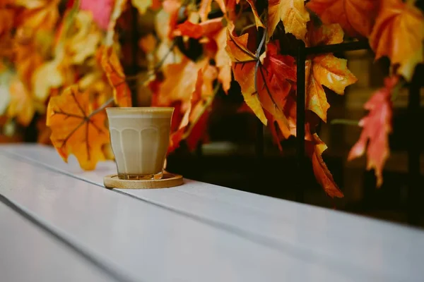 กาแฟหนึ่งถ้วยใกล้กับพืชฤดูใบไม้ร่วงที่สวยงาม — ภาพถ่ายสต็อก