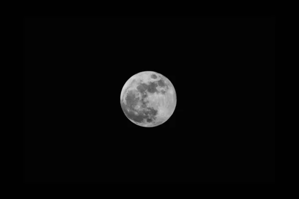 Luna llena gris en el centro en el cielo oscuro de tono negro por la noche —  Fotos de Stock
