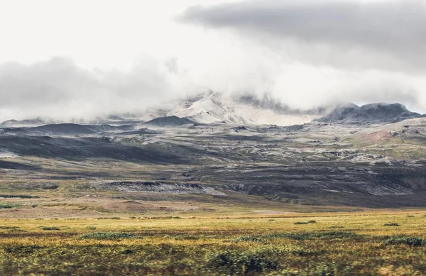 Hermoso tiro un campo verde con montañas nevadas — Foto de Stock