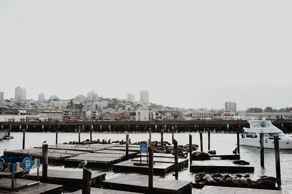旧金山港口的宽镜头，加利福尼亚州 — 图库照片