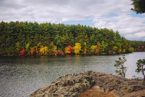 Gyönyörű tó az erdőben, fák tükröződnek a vízben és felhős ég — Stock Fotó