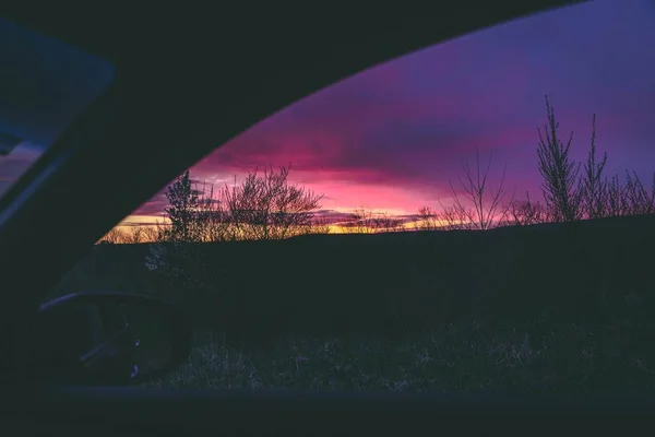 Schöne Silhouettenaufnahme von Bäumen unter dunklem Himmel während der goldenen Stunde — Stockfoto