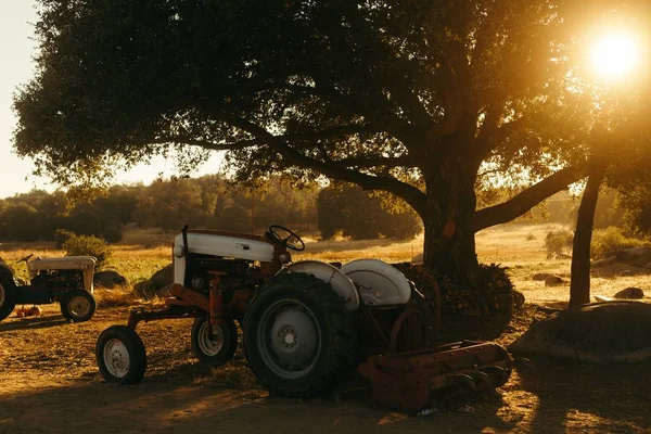 Tractoren in een veld Stockafbeelding