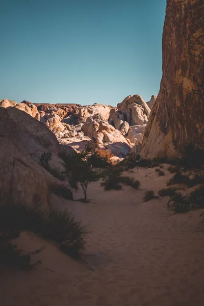 Een Verticaal Schot Van Een Woestijn Canyon Met Donker Gele — Stockfoto