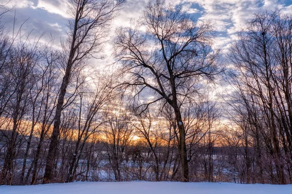 Bellissimo scenario delle colline di campagna durante l'inverno — Foto Stock