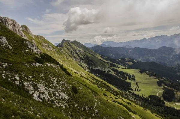 丘や山々のある美しい草の風景 — ストック写真