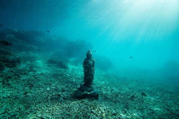 물고기에 둘러싸인 오래된 아시아 동상의 아름다운 수중 촬영에 햇빛이 비추고 있습니다. — 스톡 사진