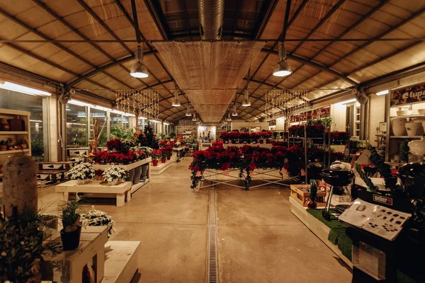 Tiro de belas flores sortidas em prateleiras em uma grande loja de flores — Fotografia de Stock