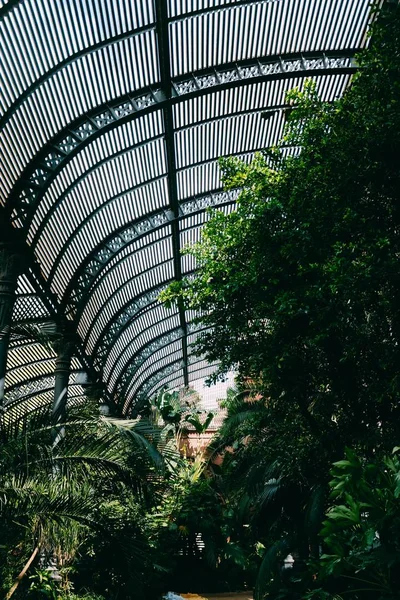 Vertical tiro de uma bela vegetação jardim botânico — Fotografia de Stock