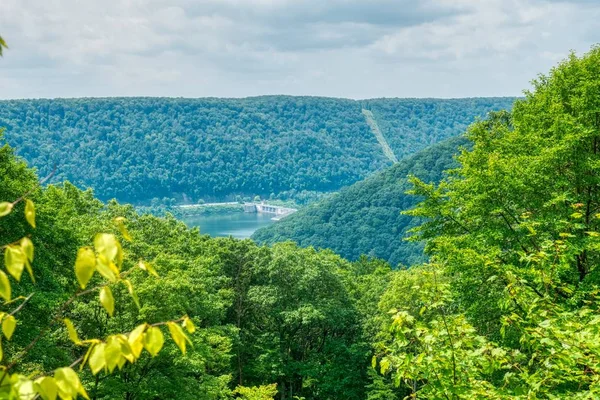 Hermoso paisaje de vegetación forestal con un río visible en la distancia bajo un cielo nublado —  Fotos de Stock