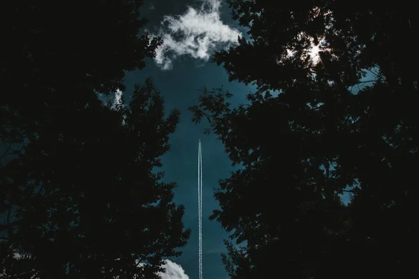 Gökyüzünde uçan bir roket bir ormanın içinden fırlatılıyor. — Stok fotoğraf