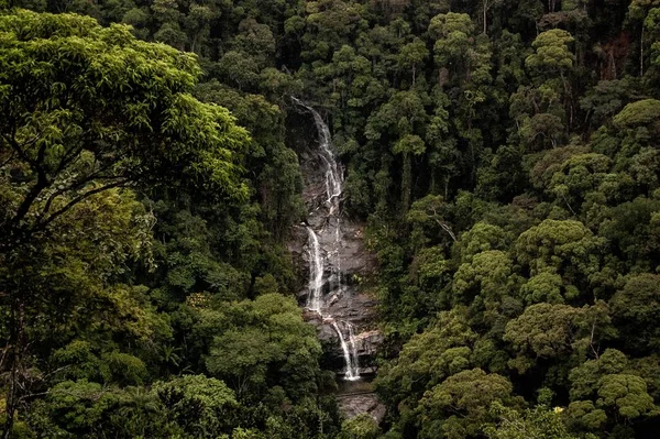 Красивый снимок водопада, стекающего по скалам в окружении деревьев — стоковое фото