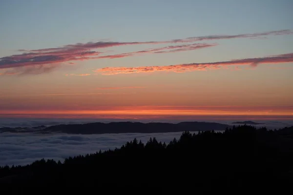 Bossilhouet bij zonsondergang met de zichtbare skyline op de berg Tam in Marin, Ca — Stockfoto